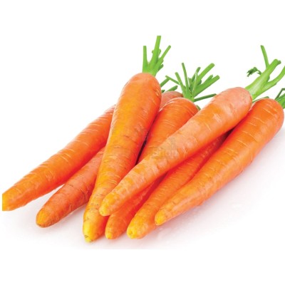 Морковь молодая 1 кг - купить в Луговом